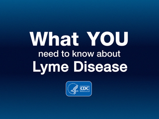 What You Need to Know About Lyme Disease