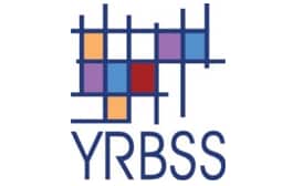 Youth Online High School Youth Risk Behavior Surveillance System (YRBSS)