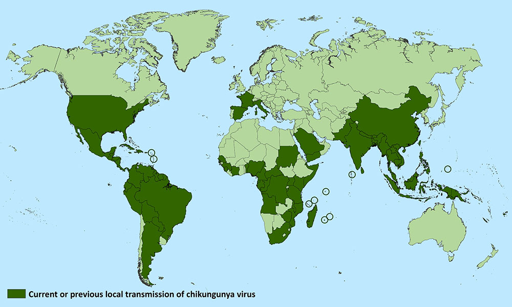 Countries with current or previous local transmission of chikungunya virus, listed in below data table