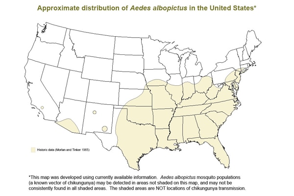 Map of the United States showing approximate distribution of Aedes albopictus in the U.S. Concentration is in the eastern half of the U.S.