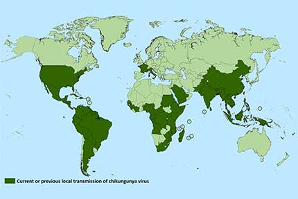 Mapa del mundo que muestra los lugares con el virus del chikunguña