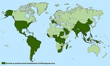 Distribution Map of Chikungunya