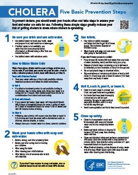 Cholera - Five basic prevention steps PDF