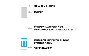 diagram of a dipstick showing where to touch, where to ID, where the bands will appear, where to insert with the arrows pointing down, and the dipping area.