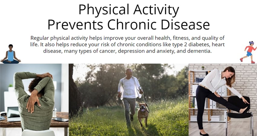 Physical Activity Prevents Chronic Disease infographic