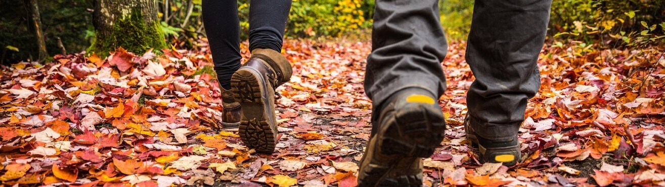Strategies for a Healthy Fall