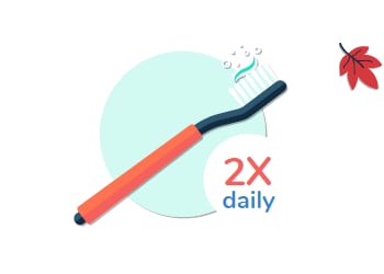 2x daily toothbrush and toothpaste