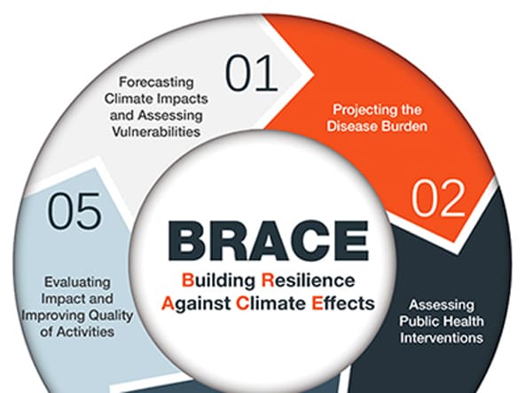 BRACE Infographic