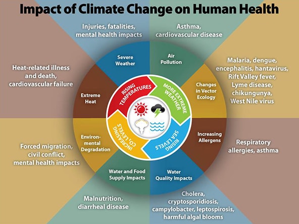 Climate change health effects wheel graphic from the CDC