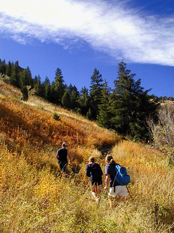Group of hikers in a trail in autumn 