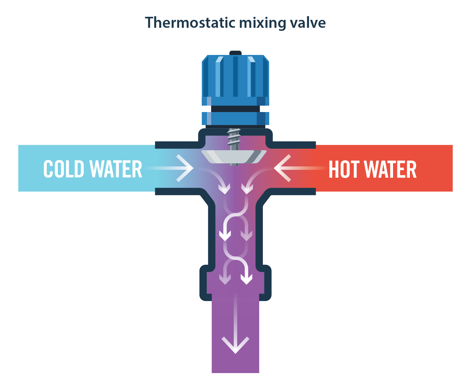 An illustration of how a thermostatic mixing valve allows hot and cold water to mix.