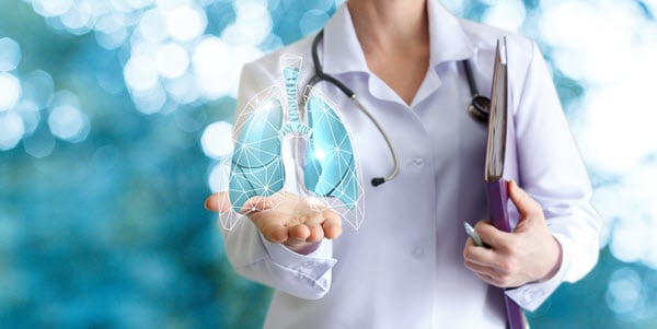 Physician holding model of lungs