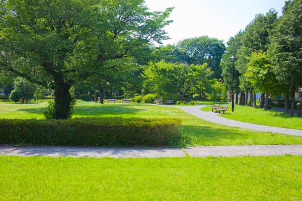 Image of a verdant park.