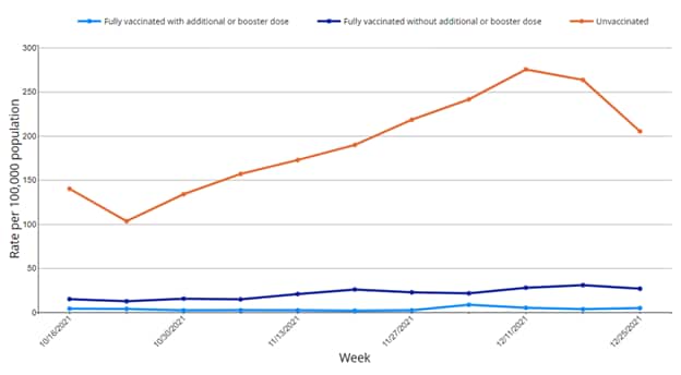 chart of fully vaccinated with additional or booster dose, vs fully vaccinated without, vs unvaccinated. Rates per 100,000.