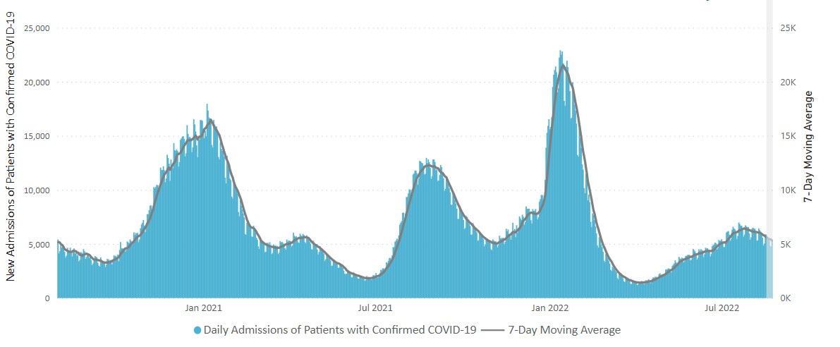 Daily Trends in Number of New COVID-19 Hospital Admissions in the United States 08-19-2022