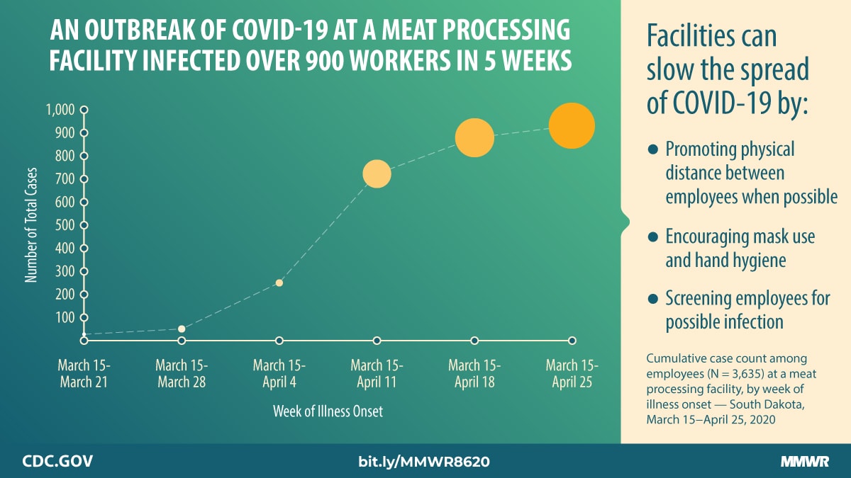 Graphic: an outbreak of COVID-19 at a meat processing facility infected over 900 workers in 5 weeks