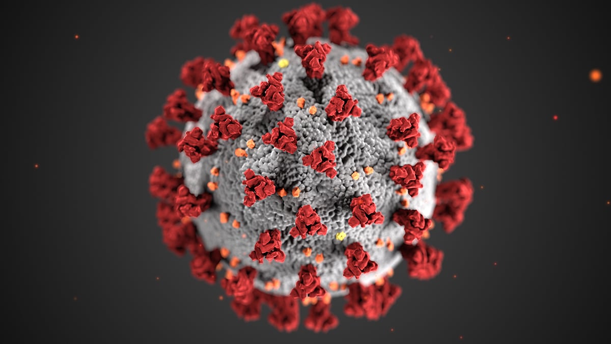 Imagen del virus del COVID-19