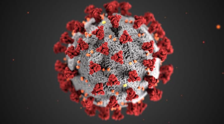 3D representation of 2019-nCoV virus
