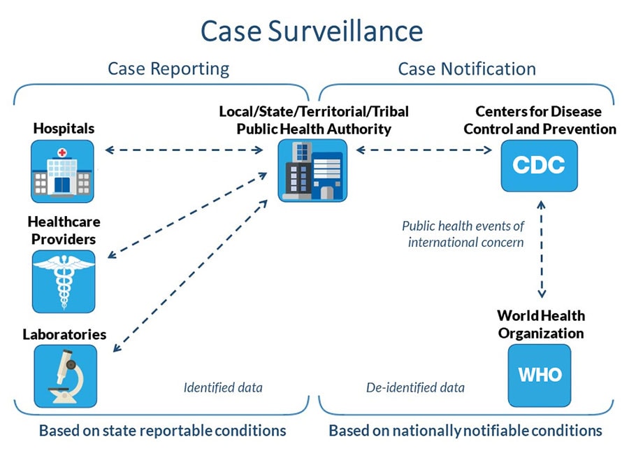 Graphic explaining COVID surveillance process