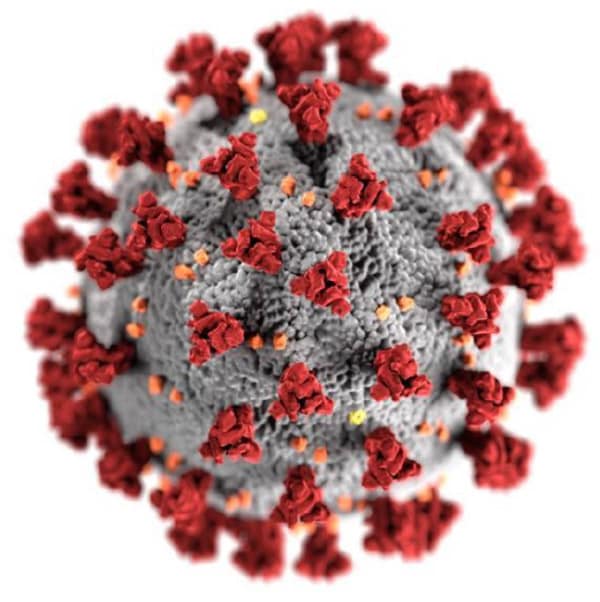 ilustración del virus del Covid-19
