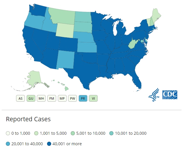 Covid cases 19 states united United States