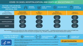 Hospitalización y muerte por COVID-19, por raza/grupo étnico