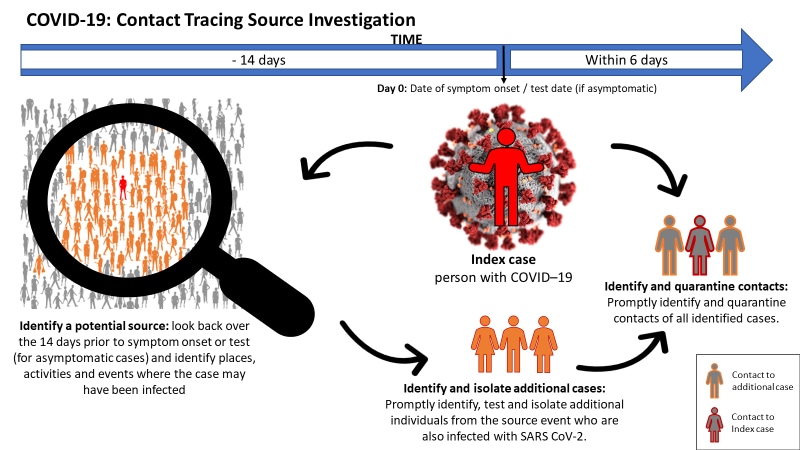 COVID-19: Contact Tracing Source Investigation