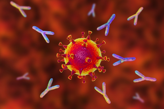 Antibodies and COVID-19 | CDC