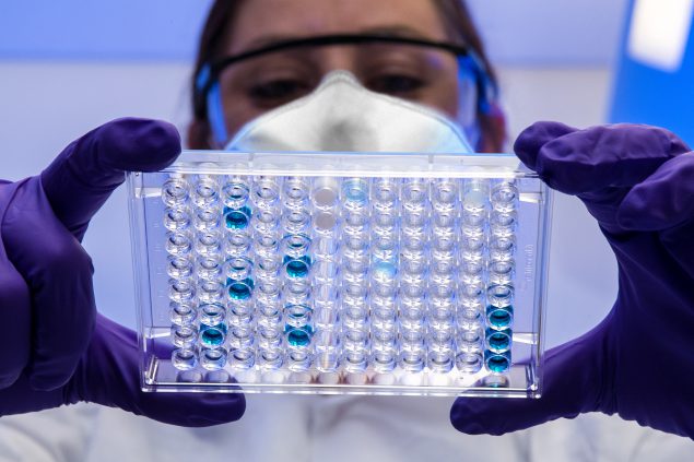 Laboratory scientist holds a serological plate for SARS-CoV-2 antibody testing.