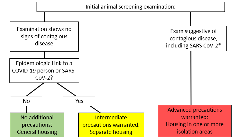 Flow chart directing how animals should be housed during an emergency response based on their screening examination and exposure to SARS—CoV-2.