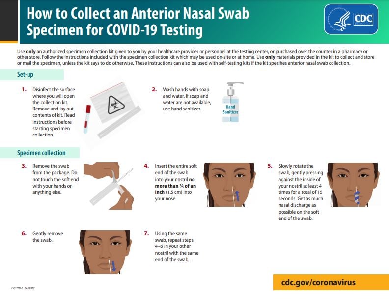 Cómo tomar una muestra de la cavidad nasal anterior para la prueba de COVID-19