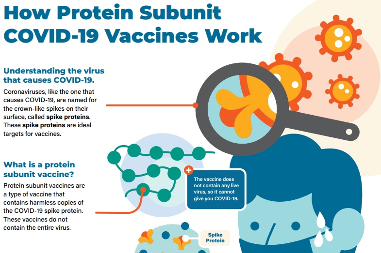 Cómo-funcionan-las-vacunas-con-subunidades-de-proteínas