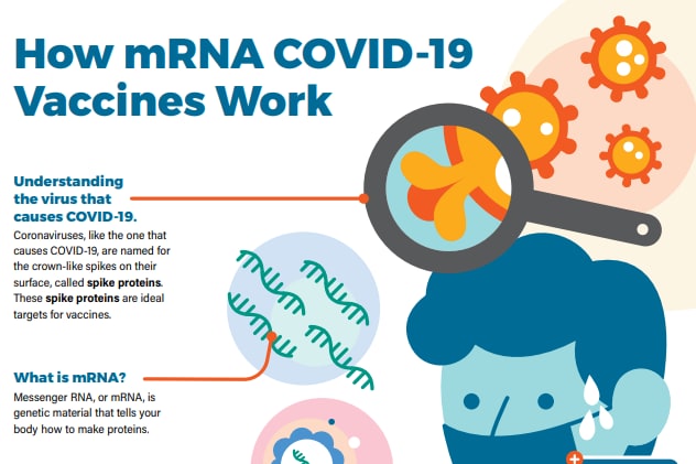 Learn-More-about-mRNA-Vaccines-crop