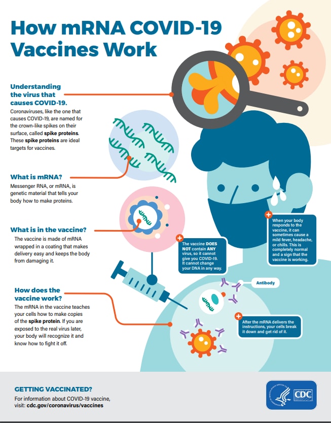 Understanding mRNA COVID-19 Vaccines | CDC