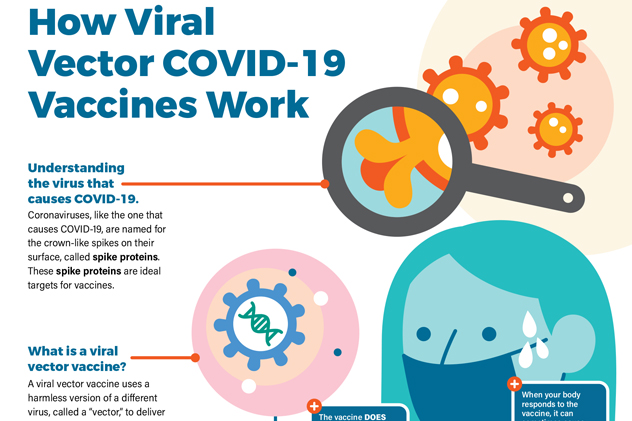 How viral vector vaccines work - thumbnail for fact sheet