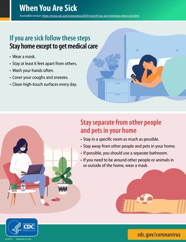 thumbnail image for 'When You Are Sick' factsheet