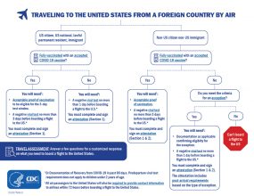 Infografía: Viajar en avión a los Estados Unidos desde un país extranjero