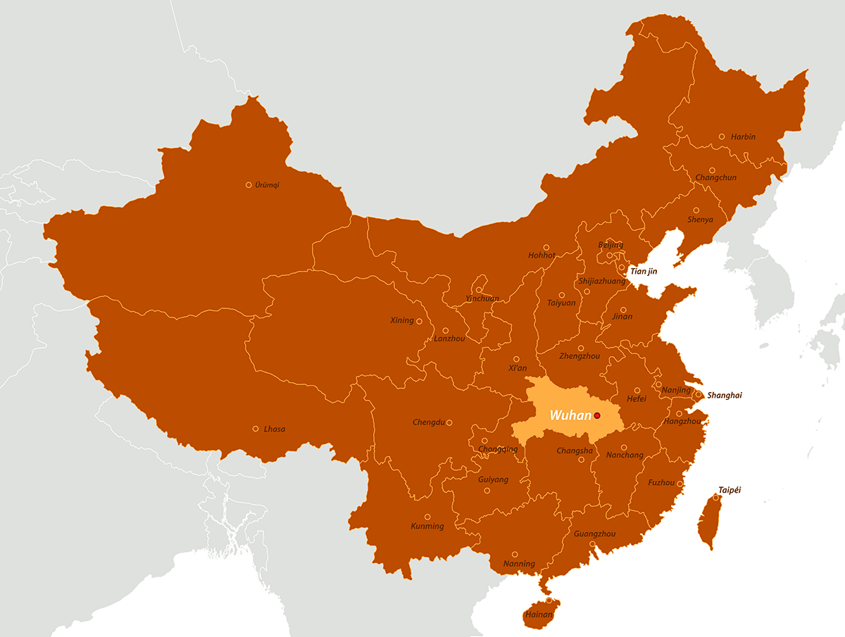 Novel Coronavirus 2019, Wuhan, China1200 x 905