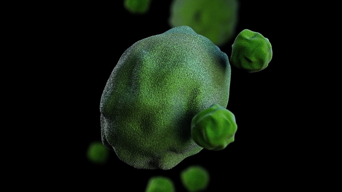 A computer-generated image of Chlamydia pneumoniae bacteria.