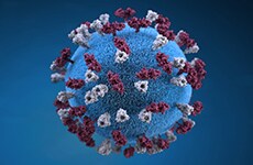 Arkansas Measles