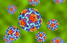 Hawaii Hepatitis A Outbreak
