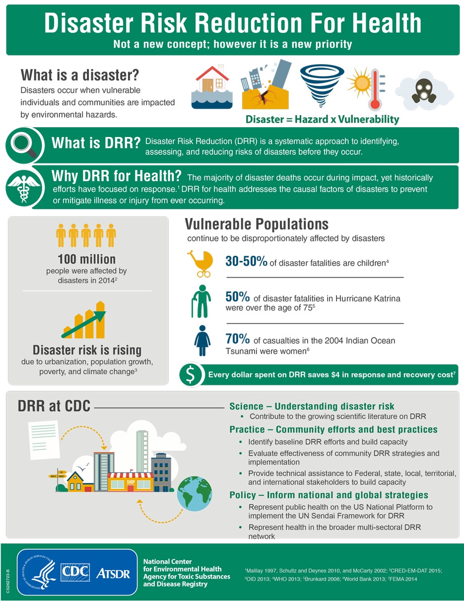 disaster risk infographic