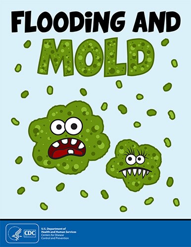 Flooding and Mold