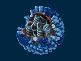h1n1 influenza graphic