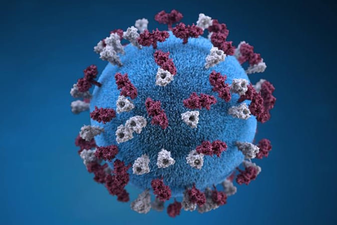 Measles is a highly contagious, vaccine-preventable virus that causes high fever and rash and can lead to further complications such as ear infections, pneumonia, and swelling of the brain.