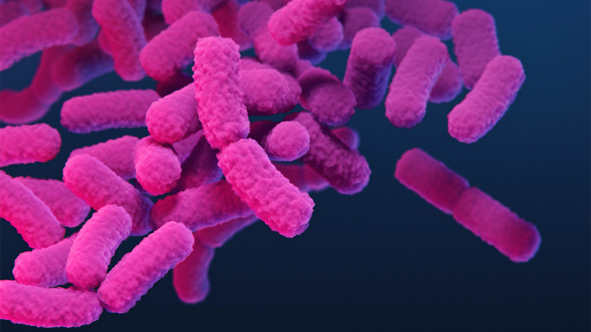 About Carbapenem-resistant Enterobacterales (CRE) | CRE About Carbapenem-resistant Enterobacterales (CRE) | CRE