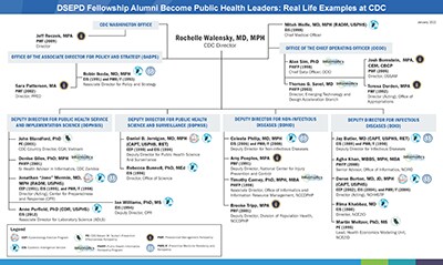 DSEPD Fellowship Alumni Become Public Health Leaders: Real Life Examples at CDC