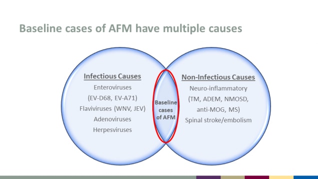 Baseline cases of AFM have multiple causes