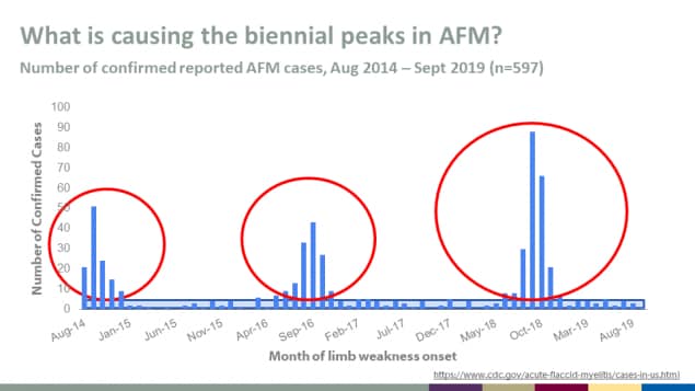What is causing the biennial peaks in AFM