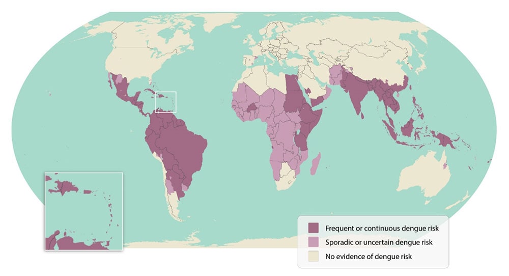 Mapa de áreas con riesgo de dengue en el mundo mostrando actividad frecuente de dengue, actividad esporádica de dengue y ninguna evidencia de riesgo de dengue.